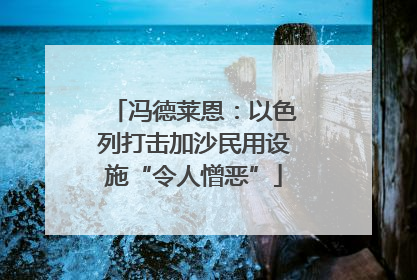 冯德莱恩：以色列打击加沙民用设施“令人憎恶”