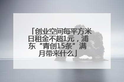 创业空间每平方米日租金不超1元，浦东“青创15条”满月带来什么