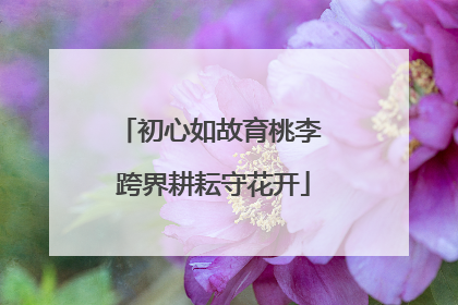 初心如故育桃李 跨界耕耘守花开