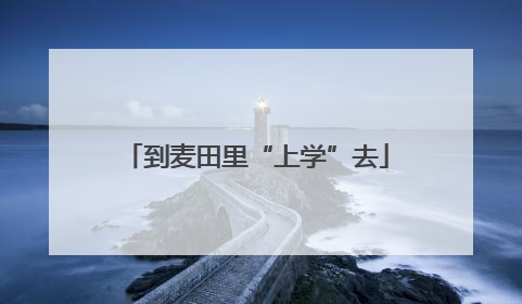 到麦田里“上学”去