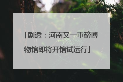 剧透：河南又一重磅博物馆即将开馆试运行