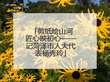 剪纸绘山河 匠心映初心——记菏泽市人大代表杨秀玲
