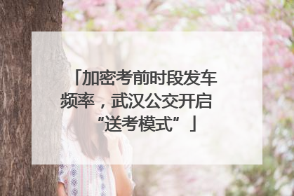 加密考前时段发车频率，武汉公交开启“送考模式”