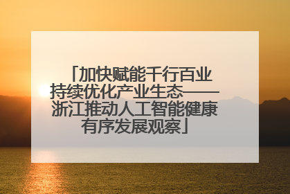 加快赋能千行百业 持续优化产业生态——浙江推动人工智能健康有序发展观察