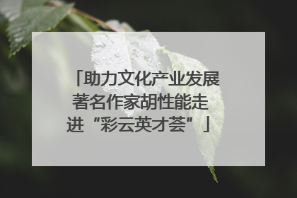 助力文化产业发展 著名作家胡性能走进“彩云英才荟”