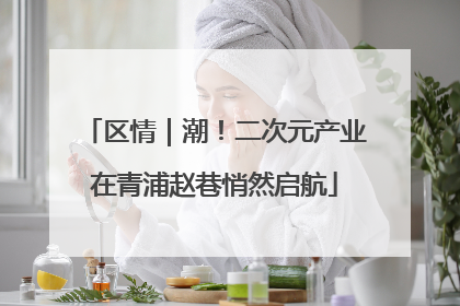 区情｜潮！二次元产业在青浦赵巷悄然启航