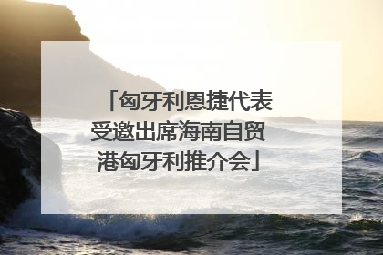 匈牙利恩捷代表受邀出席海南自贸港匈牙利推介会