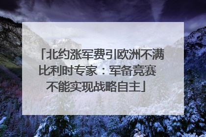 北约涨军费引欧洲不满 比利时专家：军备竞赛不能实现战略自主