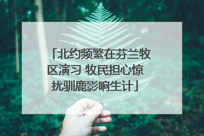 北约频繁在芬兰牧区演习 牧民担心惊扰驯鹿影响生计