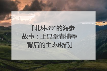 北纬39°的海参故事：上品堂春捕季背后的生态密码
