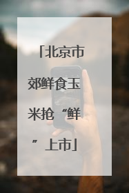北京市郊鲜食玉米抢“鲜”上市