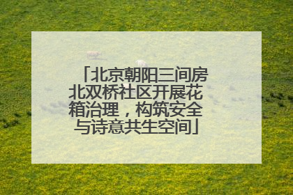 北京朝阳三间房北双桥社区开展花箱治理，构筑安全与诗意共生空间