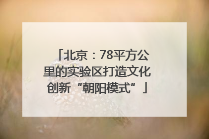 北京：78平方公里的实验区打造文化创新“朝阳模式”