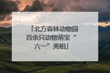 北方森林动物园百余只动物萌宝“六一”亮相