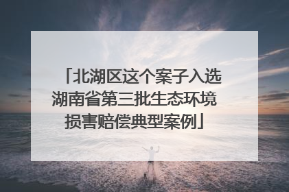 北湖区这个案子入选湖南省第三批生态环境损害赔偿典型案例