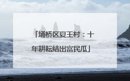 埇桥区夏王村：十年耕耘结出富民瓜