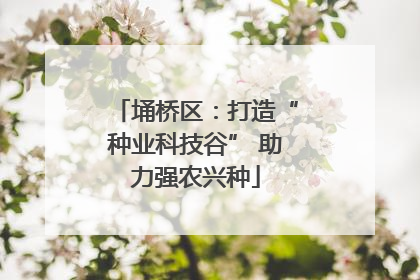 埇桥区：打造“种业科技谷” 助力强农兴种