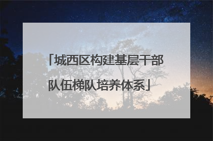城西区构建基层干部队伍梯队培养体系