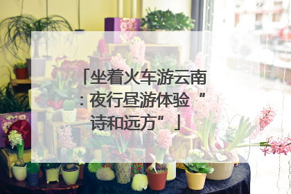 坐着火车游云南：夜行昼游体验“诗和远方”