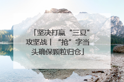 坚决打赢“三夏”攻坚战丨“抢”字当头确保颗粒归仓