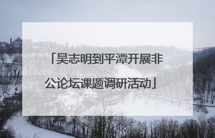 吴志明到平潭开展非公论坛课题调研活动