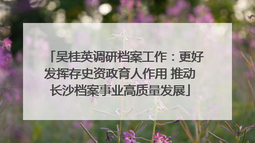 吴桂英调研档案工作：更好发挥存史资政育人作用 推动长沙档案事业高质量发展