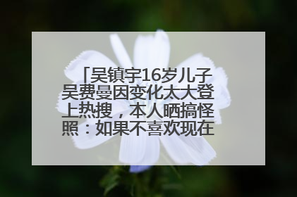 吴镇宇16岁儿子吴费曼因变化太大登上热搜，本人晒搞怪照：如果不喜欢现在的我可以离开