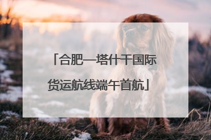 合肥—塔什干国际货运航线端午首航