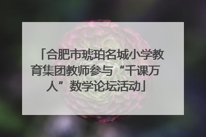 合肥市琥珀名城小学教育集团教师参与“千课万人”数学论坛活动