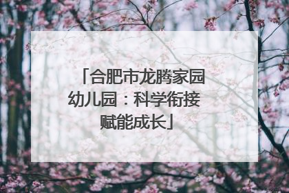 合肥市龙腾家园幼儿园：科学衔接 赋能成长