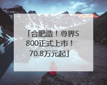 合肥造！尊界S800正式上市！70.8万元起