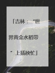吉林：“世界黄金水稻带”上插秧忙