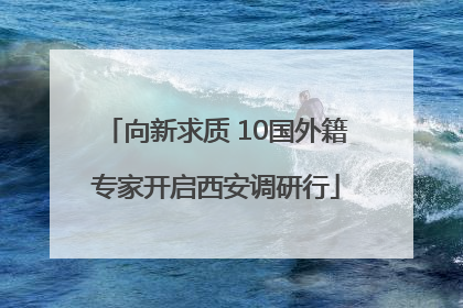 向新求质 10国外籍专家开启西安调研行