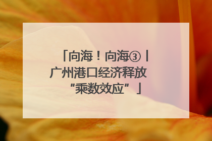 向海！向海③丨广州港口经济释放“乘数效应”
