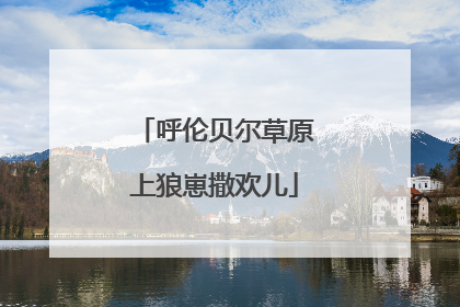 呼伦贝尔草原上狼崽撒欢儿
