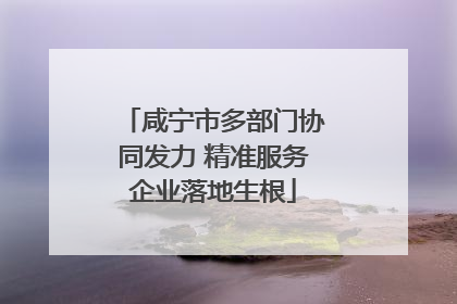 咸宁市多部门协同发力 精准服务企业落地生根