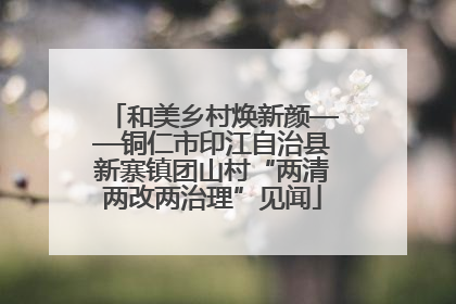 和美乡村焕新颜——铜仁市印江自治县新寨镇团山村“两清两改两治理”见闻