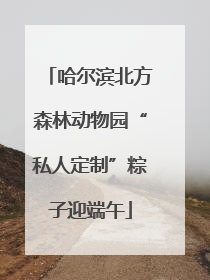 哈尔滨北方森林动物园“私人定制”粽子迎端午