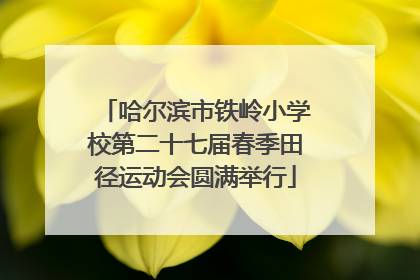 哈尔滨市铁岭小学校第二十七届春季田径运动会圆满举行