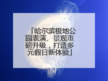 哈尔滨极地公园表演、景观重磅升级，打造多元假日新体验