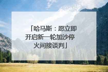 哈马斯：愿立即开启新一轮加沙停火间接谈判