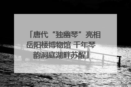 唐代“独幽琴”亮相岳阳楼博物馆 千年琴韵洞庭湖畔苏醒