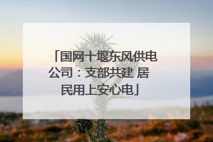 国网十堰东风供电公司：支部共建 居民用上安心电