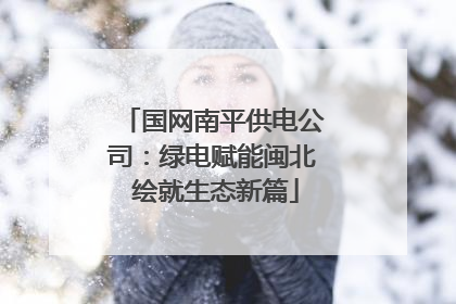 国网南平供电公司：绿电赋能闽北 绘就生态新篇