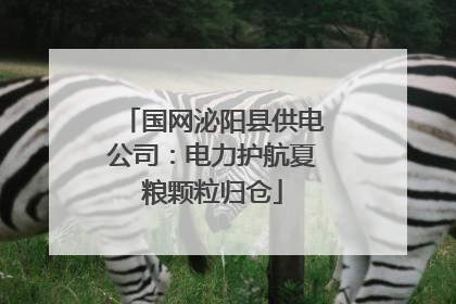 国网泌阳县供电公司:电力护航夏粮颗粒归仓