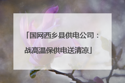 国网西乡县供电公司：战高温保供电送清凉