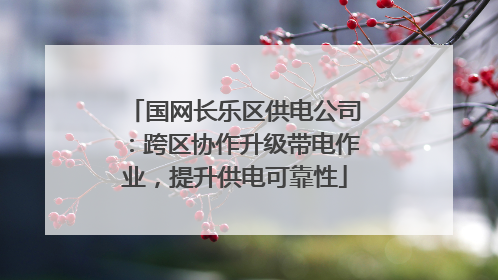 国网长乐区供电公司：跨区协作升级带电作业，提升供电可靠性