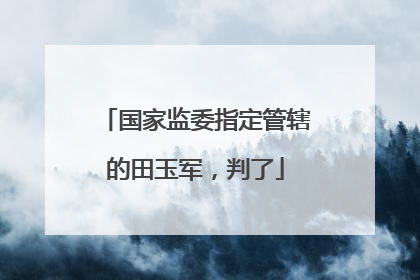 国家监委指定管辖的田玉军，判了