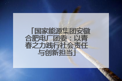 国家能源集团安徽合肥电厂团委：以青春之力践行社会责任与创新担当