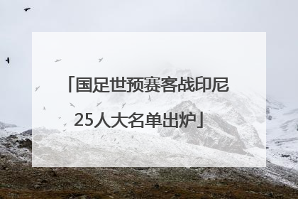 国足世预赛客战印尼25人大名单出炉